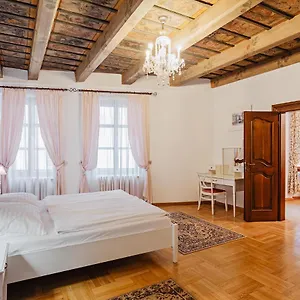 Apartment U Cerneho Medveda- At The Black Bear, Prag